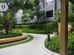 ให้เช่า คอนโดเวย์ โพธิสาร สตูดิโอพัทยาเหนือ  -202510030904161759457056689.jpg