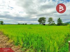 ขายที่ดินเปล่า เนื้อที่ 4 ไร่ 3 งาน 2.5 ตารางวา อ.เทิง เชียงราย