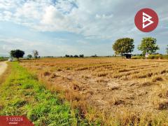 ขายที่ดินเปล่า เนื้อที่ 4 ไร่ 3 งาน 2.5 ตารางวา อ.เทิง เชียงราย-202510030950331759459833511.jpg