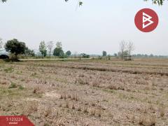 ขายที่ดินเปล่า เนื้อที่ 4 ไร่ 3 งาน 2.5 ตารางวา อ.เทิง เชียงราย-202510030950361759459836202.jpg