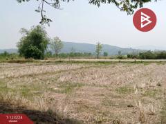 ขายที่ดินเปล่า เนื้อที่ 4 ไร่ 3 งาน 2.5 ตารางวา อ.เทิง เชียงราย-202510030950371759459837270.jpg