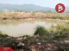 ขายที่ดินเปล่า เนื้อที่ 4 ไร่ 3 งาน 2.5 ตารางวา อ.เทิง เชียงราย-202510030950381759459838423.jpg