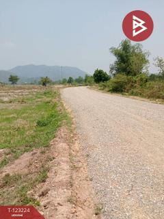 ขายที่ดินเปล่า เนื้อที่ 4 ไร่ 3 งาน 2.5 ตารางวา อ.เทิง เชียงราย-202510030950381759459838944.jpg