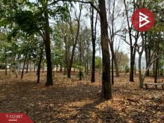 ขายที่ดิน เนื้อที่ 22 ไร่ 1 งาน 31.4 ตร.วา พัฒนานิคม ลพบุรี