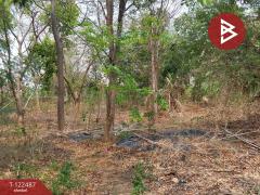 ขายที่ดิน เนื้อที่ 22 ไร่ 1 งาน 31.4 ตร.วา พัฒนานิคม ลพบุรี-202510030957531759460273461.jpg