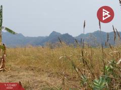 ขายที่ดิน เนื้อที่ 22 ไร่ 1 งาน 31.4 ตร.วา พัฒนานิคม ลพบุรี-202510030957541759460274641.jpg