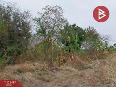 ขายที่ดิน เนื้อที่ 22 ไร่ 1 งาน 31.4 ตร.วา พัฒนานิคม ลพบุรี-202510030957551759460275204.jpg