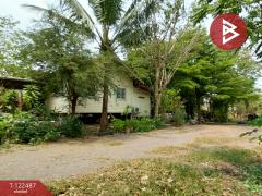 ขายที่ดิน เนื้อที่ 22 ไร่ 1 งาน 31.4 ตร.วา พัฒนานิคม ลพบุรี-202510030957561759460276803.jpg