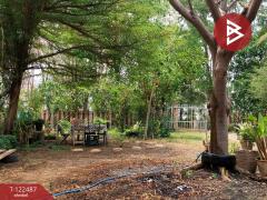 ขายที่ดิน เนื้อที่ 22 ไร่ 1 งาน 31.4 ตร.วา พัฒนานิคม ลพบุรี-202510030957571759460277350.jpg