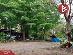 ขายที่ดิน เนื้อที่ 22 ไร่ 1 งาน 31.4 ตร.วา พัฒนานิคม ลพบุรี-202510030957591759460279029.jpg