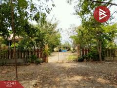 ขายที่ดิน เนื้อที่ 22 ไร่ 1 งาน 31.4 ตร.วา พัฒนานิคม ลพบุรี-202510030957591759460279571.jpg