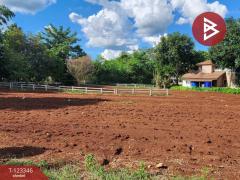 ขายที่ดินแปลงสวย โครงการผาตะวัน เขาใหญ่ (Phatawan at Khaoyai)