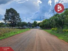 ขายที่ดินแปลงสวย โครงการผาตะวัน เขาใหญ่ (Phatawan at Khaoyai)-202510031050261759463426119.jpg