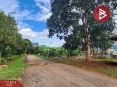 ขายที่ดินแปลงสวย โครงการผาตะวัน เขาใหญ่ (Phatawan at Khaoyai)-202510031050261759463426819.jpg