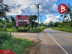 ขายที่ดินแปลงสวย โครงการผาตะวัน เขาใหญ่ (Phatawan at Khaoyai)-202510031050271759463427340.jpg