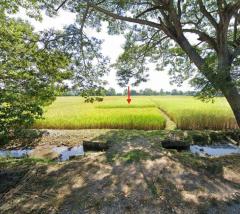 ขายที่ดินเชียงราย 5-0-96 ไร่ ใกล้เทศบาลตำบลเวียงเหนือ และโรงเรียนบ้านค่ายเจริญ