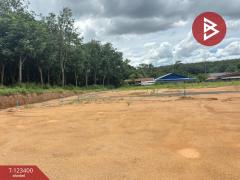 ขายที่ดิน เนื้อที่ 1 งาน 3.3 ตร.วา บ้านค่าย ระยอง-202510031124291759465469214.jpg