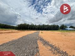 ขายที่ดิน เนื้อที่ 1 งาน 3.3 ตร.วา บ้านค่าย ระยอง-202510031124311759465471028.jpg