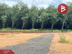 ขายที่ดิน เนื้อที่ 1 งาน 3.3 ตร.วา บ้านค่าย ระยอง-202510031124321759465472078.jpg