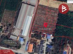 ขายที่ดิน เนื้อที่ 1 งาน 3.3 ตร.วา บ้านค่าย ระยอง-202510031124321759465472601.jpg