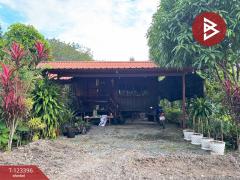 ขายบ้านเดี่ยวชั้นเดียว-เนื้อที่-64-ต