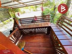 ขายบ้านเดี่ยวชั้นเดียว เนื้อที่ 64 ตารางวา ท่าช้าง จันทบุรี ทำเลดี-202510031135531759466153135.jpg