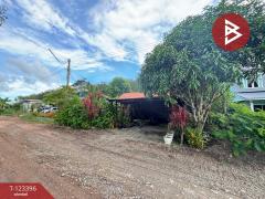 ขายบ้านเดี่ยวชั้นเดียว เนื้อที่ 64 ตารางวา ท่าช้าง จันทบุรี ทำเลดี-202510031135561759466156313.jpg