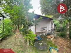 ขายบ้านเดี่ยวชั้นเดียว เนื้อที่ 64 ตารางวา ท่าช้าง จันทบุรี ทำเลดี-202510031135571759466157366.jpg