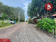 ขายบ้านเดี่ยวชั้นเดียว เนื้อที่ 64 ตารางวา ท่าช้าง จันทบุรี ทำเลดี-202510031135571759466157897.jpg