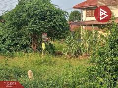  ขายที่ดิน เนื้อที่ 51 ตร.วา ชะอำ เพชรบุรี-202510031149521759466992328.jpg