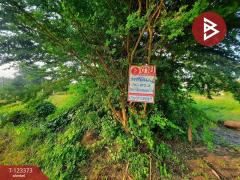  ขายที่ดิน เนื้อที่ 51 ตร.วา ชะอำ เพชรบุรี-202510031149531759466993429.jpg