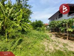  ขายที่ดิน เนื้อที่ 51 ตร.วา ชะอำ เพชรบุรี-202510031149531759466993984.jpg