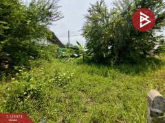  ขายที่ดิน เนื้อที่ 51 ตร.วา ชะอำ เพชรบุรี-202510031149541759466994523.jpg