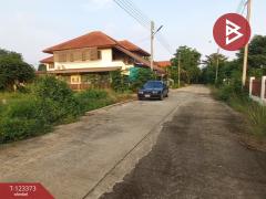  ขายที่ดิน เนื้อที่ 51 ตร.วา ชะอำ เพชรบุรี-202510031149551759466995061.jpg