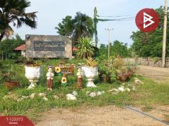  ขายที่ดิน เนื้อที่ 51 ตร.วา ชะอำ เพชรบุรี-202510031149551759466995594.jpg