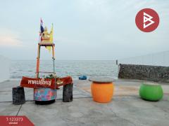  ขายที่ดิน เนื้อที่ 51 ตร.วา ชะอำ เพชรบุรี-202510031149561759466996690.jpg