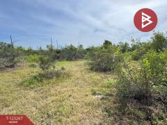 ขายที่ดิน เนื้อที่ 50.3 ตารางวา ปราณบุรี ประจวบคีรีขันธ์-202510031205531759467953780.jpg