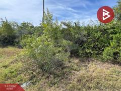 ขายที่ดิน เนื้อที่ 50.3 ตารางวา ปราณบุรี ประจวบคีรีขันธ์-202510031205541759467954301.jpg