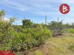 ขายที่ดิน เนื้อที่ 50.3 ตารางวา ปราณบุรี ประจวบคีรีขันธ์-202510031205541759467954832.jpg