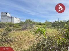 ขายที่ดิน เนื้อที่ 50.3 ตารางวา ปราณบุรี ประจวบคีรีขันธ์-202510031205551759467955364.jpg