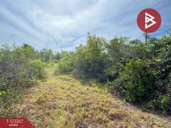 ขายที่ดิน เนื้อที่ 50.3 ตารางวา ปราณบุรี ประจวบคีรีขันธ์-202510031205551759467955877.jpg