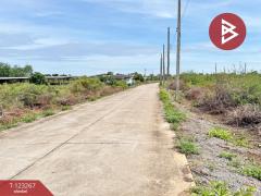 ขายที่ดิน เนื้อที่ 50.3 ตารางวา ปราณบุรี ประจวบคีรีขันธ์-202510031205561759467956394.jpg