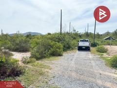 ขายที่ดิน เนื้อที่ 50.3 ตารางวา ปราณบุรี ประจวบคีรีขันธ์-202510031205561759467956903.jpg