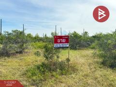 ขายที่ดิน เนื้อที่ 50.3 ตารางวา ปราณบุรี ประจวบคีรีขันธ์-202510031205571759467957411.jpg