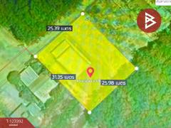  ขายบ้านเดี่ยว เนื้อที่ 200 ตารางวา อ.ท่าช้าง จันทบุรี พร้อมเข้าอยู่-202510031211581759468318257.jpg