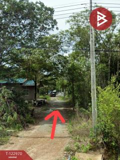 ขายที่ดิน เนื้อที่ 50.5 ตารางวา ต.ท่าหลวง อ.มะขาม จันทบุรี-202510031228001759469280581.jpg