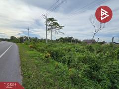 ขายที่ดิน เนื้อที่ 1 งาน 65.8 ตร.วา ใกล้ตลาดสดท่าใหม่ จันทบุรี-202510031305181759471518237.jpg