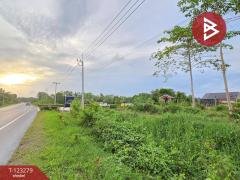 ขายที่ดิน เนื้อที่ 1 งาน 65.8 ตร.วา ใกล้ตลาดสดท่าใหม่ จันทบุรี-202510031305201759471520297.jpg