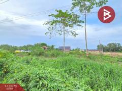 ขายที่ดิน เนื้อที่ 1 งาน 65.8 ตร.วา ใกล้ตลาดสดท่าใหม่ จันทบุรี-202510031305201759471520828.jpg