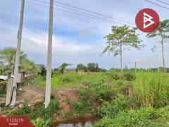 ขายที่ดิน เนื้อที่ 1 งาน 65.8 ตร.วา ใกล้ตลาดสดท่าใหม่ จันทบุรี-202510031305211759471521367.jpg